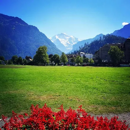 Lake Thun Alps Scenic Views And Concierge By Swisshut Appartamento