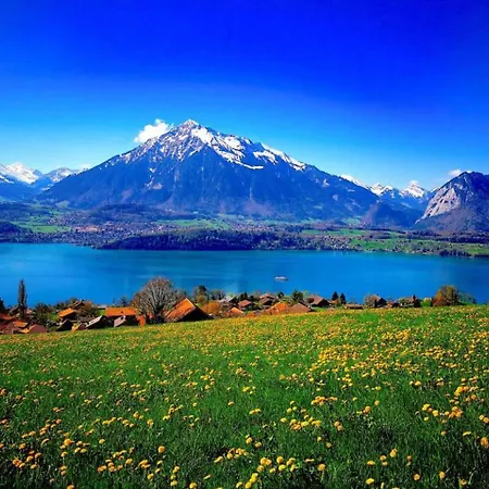 Thun Alps Scenic Views And Concierge By Swisshut Lejlighed Sigriswil