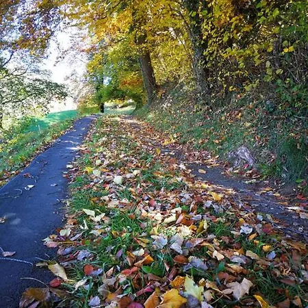 Appartamento Lake Thun Alps Scenic Views And Concierge By Swisshut Sigriswil