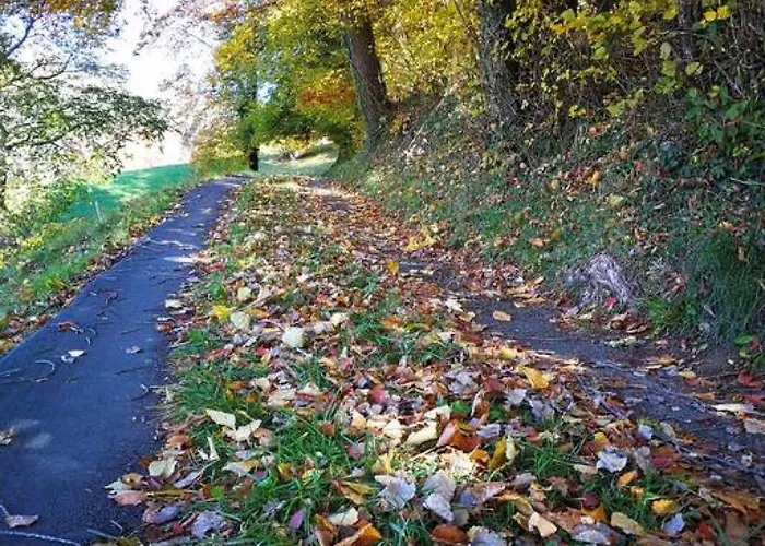 Lejlighed Thun Alps Scenic Views And Concierge By Swisshut Sigriswil